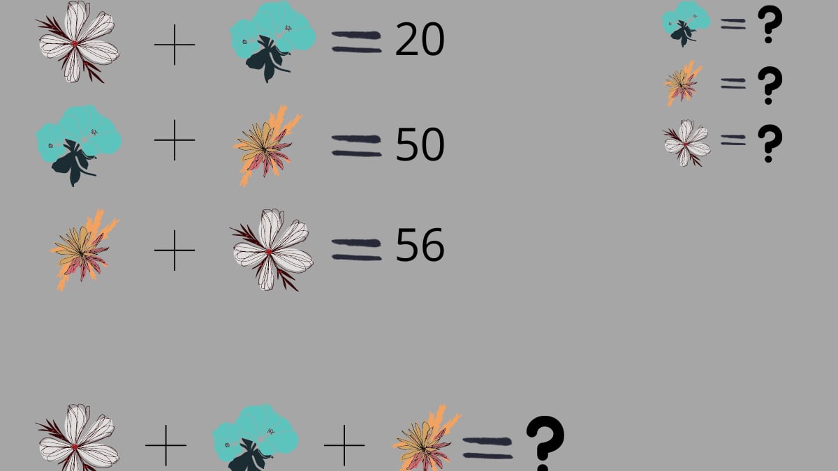 desafío matemático donde hay que encontrar el valor numérico de las flores.