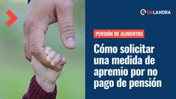 Pensión de alimentos: Revisa cómo solicitar en línea una medida de apremio por el no pago