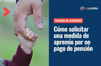 Pensión de alimentos: Revisa cómo solicitar en línea una medida de apremio por el no pago