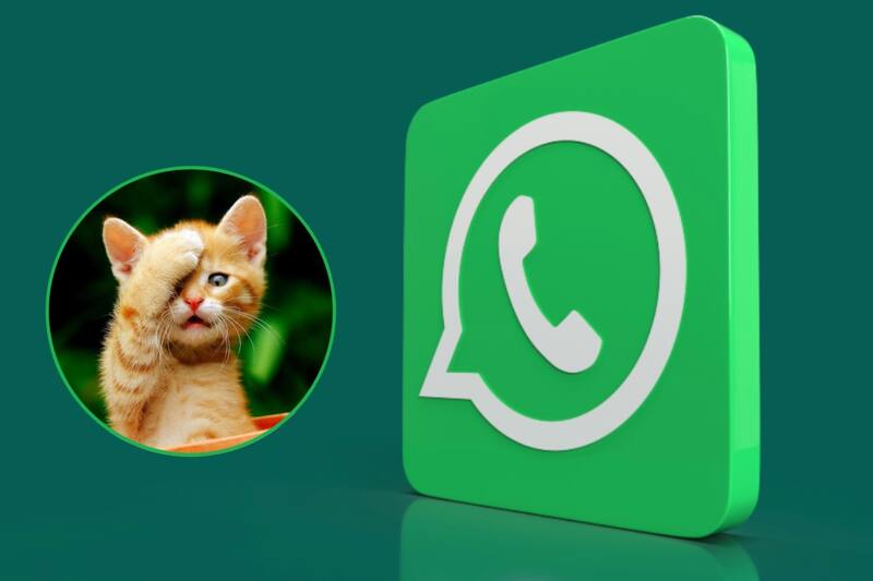 La función de WhatsApp que solucionará más de un problema.
