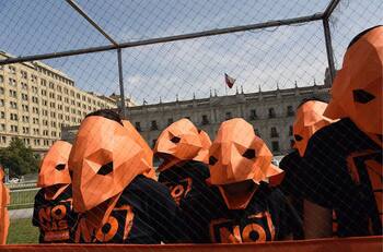 VIDEO I Activistas de Greenpeace se manifiestan frente a la Moneda en contra de las Salmoneras