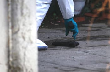 Una persona muerta y 3 heridos: Fiesta terminó con balacera en la ciudad de Chillán