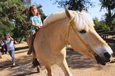 Granjaventura: el mejor lugar para ir con niños e interactuar con animales y juegos al aire libre