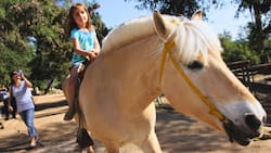 Granjaventura: el mejor lugar para ir con niños e interactuar con animales y juegos al aire libre