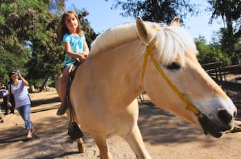 Granjaventura: el mejor lugar para ir con niños e interactuar con animales y juegos al aire libre