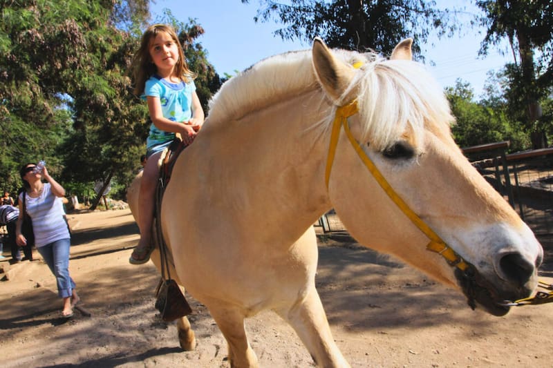 Un lugar ideal para arrancarse por el día con los pequeños de la casa. Créditos: La Pandereta del Domingo.