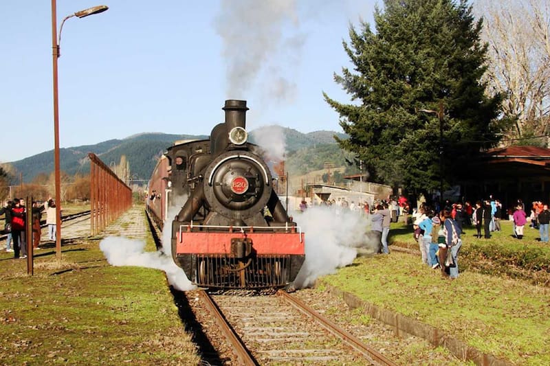 Hacía un recorrido entre Valdivia y Antilhue.