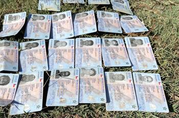 Haitianos botan sus carnet en frontera de Estados Unidos: recibían pagos del IFE Universal