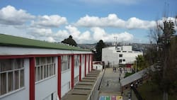 Histórico colegio acaba con tradición de más de 70 años: será mixto desde el próximo año