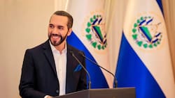 VIDEO | Nayib Bukele compartió registro donde lo "proponen" como presidente de Chile