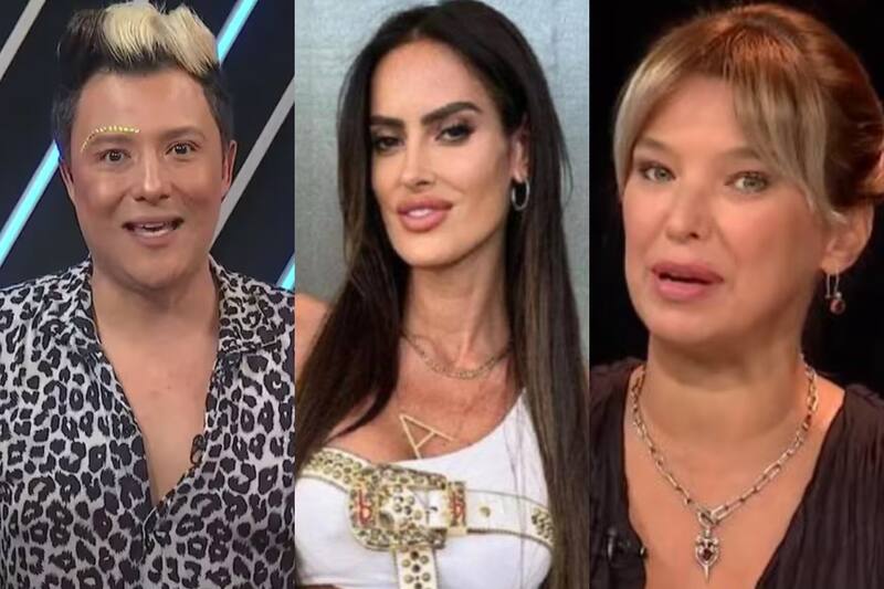 se lanzó contra Sergio Rojas tras pelea con Claudia Schmidt.