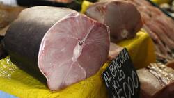 Fraude: Detectan venta de carne de tiburón en productos rotulados como albacora en pescaderías y ferias de Santiago