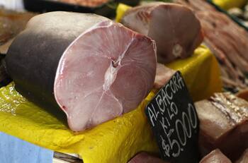Fraude: Detectan venta de carne de tiburón en productos rotulados como albacora en pescaderías y ferias de Santiago