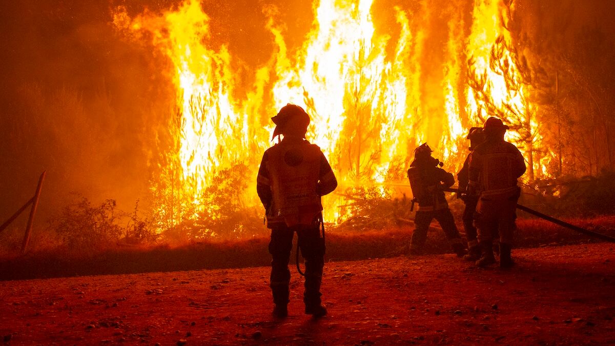 Incendios forestales en Chile.