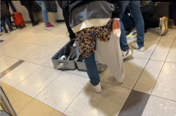VIDEO | "Momento cebolla": Pasajero no quiso pagar exceso de equipaje y recurrió a insólita solución