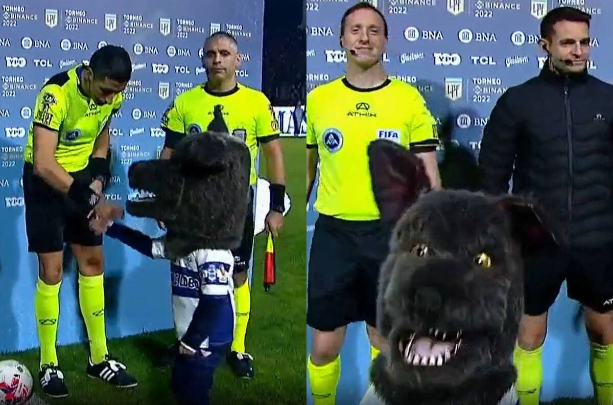 VIDEO | El mejor día de mi vida: el tierno "Lobito" que se hizo presente en el partido entre Gimnasia y Racing