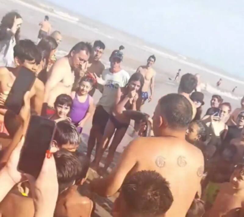 El momento en el que sacaron del agua al tiburón bebé en Argentina. Créditos: @porquetendencia