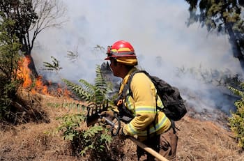 VIDEO | SENAPRED emite alerta roja por incendio forestal en Peñaflor: hay 2.5 hectáreas afectadas