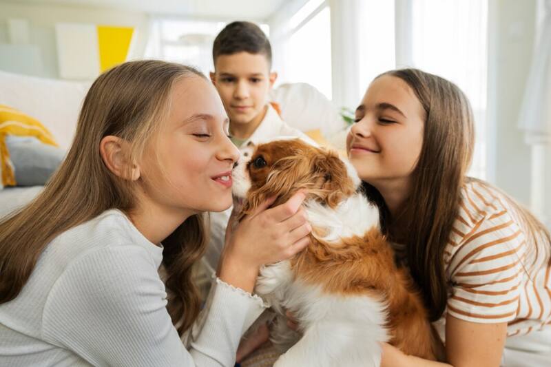 Expertos recomiendan adoptar mascotas para mejorar su bienestar integral.