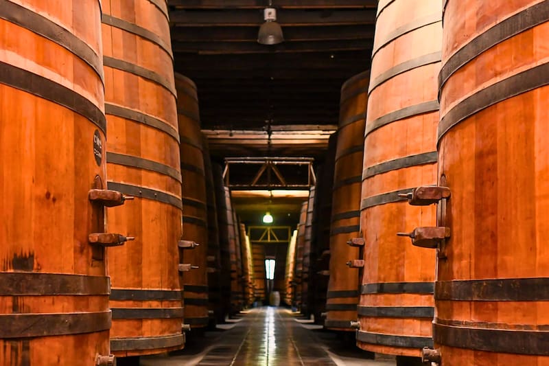 El lugar fundado hace más de un centenar de años sigue perteneciendo a la misma familia. Créditos: Viña Cousiño Macul.