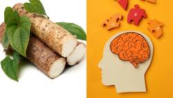 Consume este tubérculo para mejorar tu memoria y estimular el crecimiento neuronal