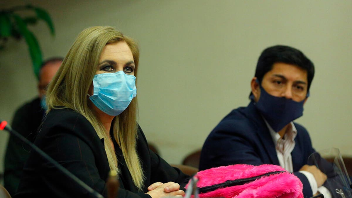 Pamela Jiles en votación por Segundo Retiro AFP: "Briones me tiene chata, su nivel de crueldad me asombra"