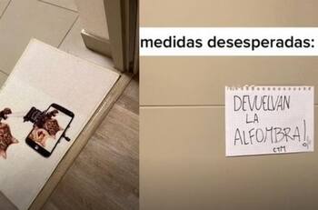 VIDEO | Creyeron que vecinos robaron su limpiapiés, pero la historia tuvo un giro inesperado