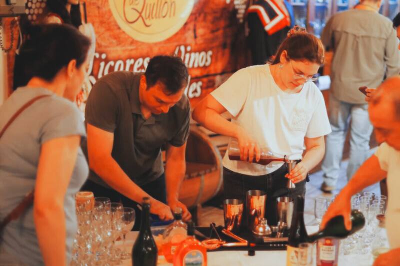 La actividad gratuita abierta al público, ideal para el fin de semana. Créditos: @municipalidaddequillon vía Instagram.