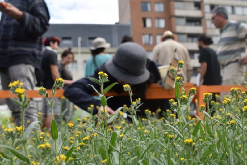 Junto a estos lugares llenos de naturaleza, se suman otros 17 que también van a poder visitar en la jornada.
Créditos: Universidad Central de Chile.