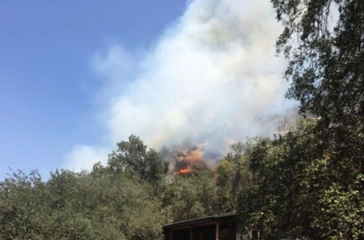 VIDEO | Incendio forestal en Cerro Manquehue: Cuerpo de Bomberos de Santiago combate el siniestro