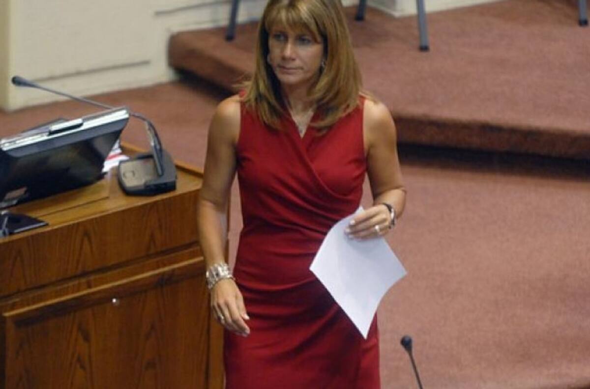 Tras caso 'Rojas Vade': senadores anuncian proyecto para renuncias de la Convención
