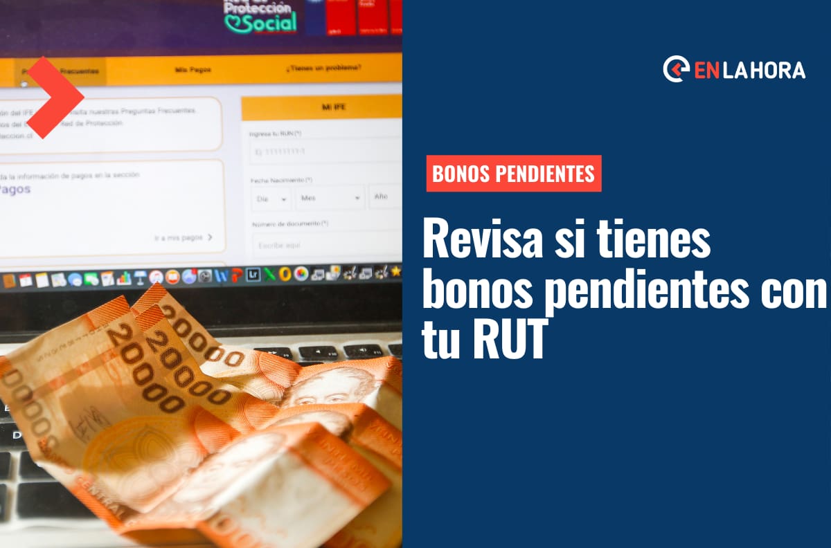 Bonos pendientes: Ingresa tu RUT para revisar si tienes aportes por cobrar a tu nombre