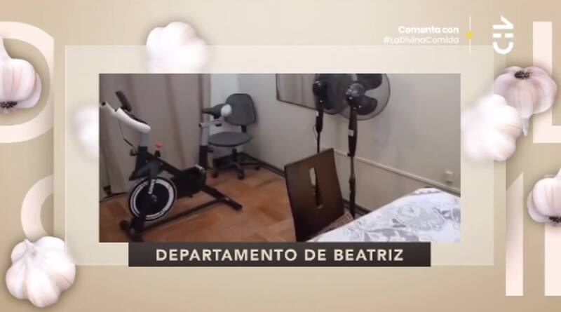 El living de Beatriz Alegret. Foto: CHV.