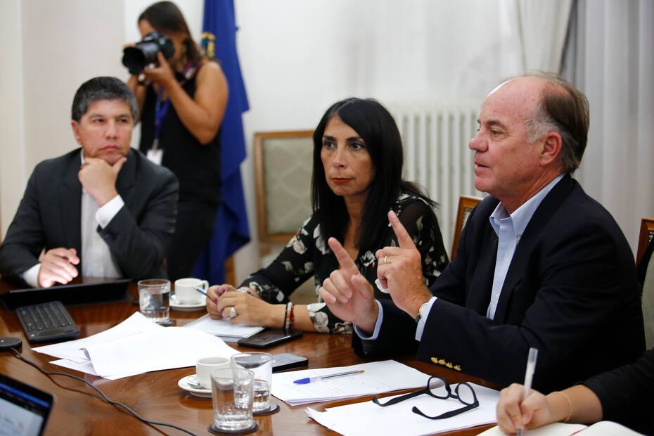 La medida fue impulsada por la ex ministra Karla Rubilar