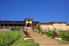 ¿Cuánto cuesta viajar a Santa Cruz en Fiestas Patrias?: Pasajes, alojamientos y panoramas para celebrar el 18