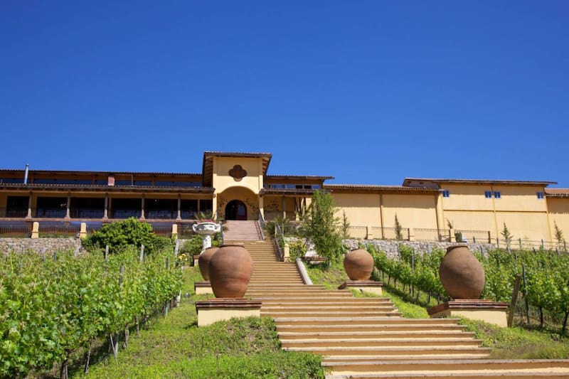 Uno de los planes perfectos en Fiestas Patrias es visitar la Viña Santa Cruz.