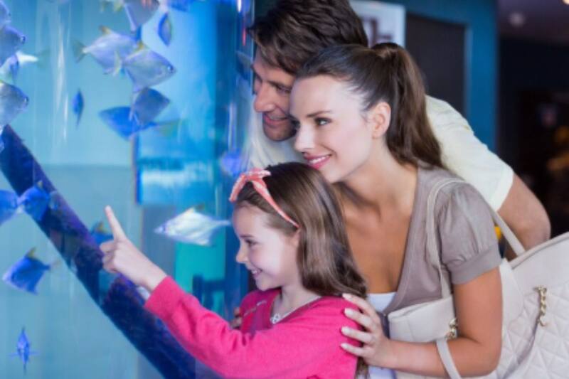 La entrada general tiene un valor de $4.000.
Créditos: Freepik.