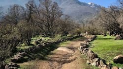 Este pulmón verde de la RM tiene una granja, senderos de trekking y una increíble vista de Santiago: entrar cuesta solo $1.000