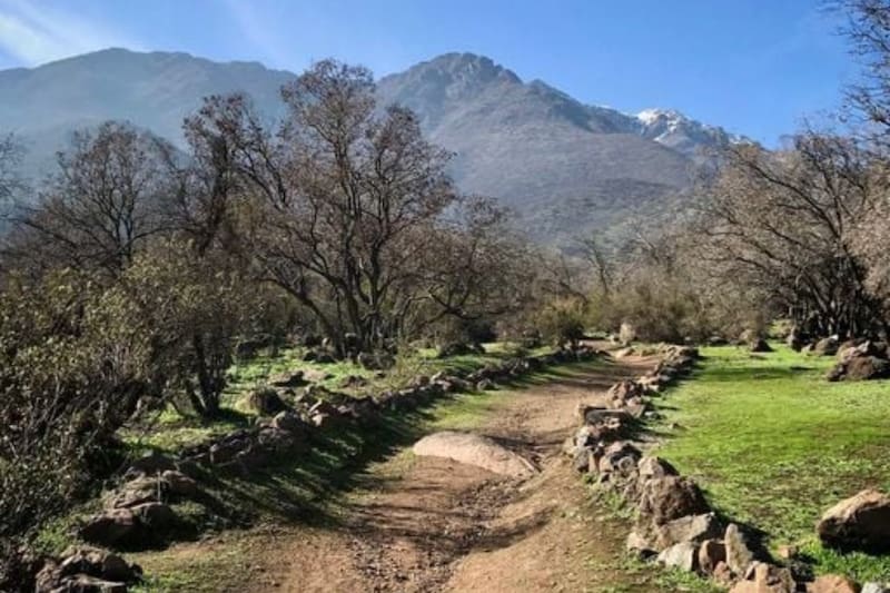 Este refugio natural de la capital está ubicado en la comuna de La Reina. Foto: Municipalidad de La Reina.