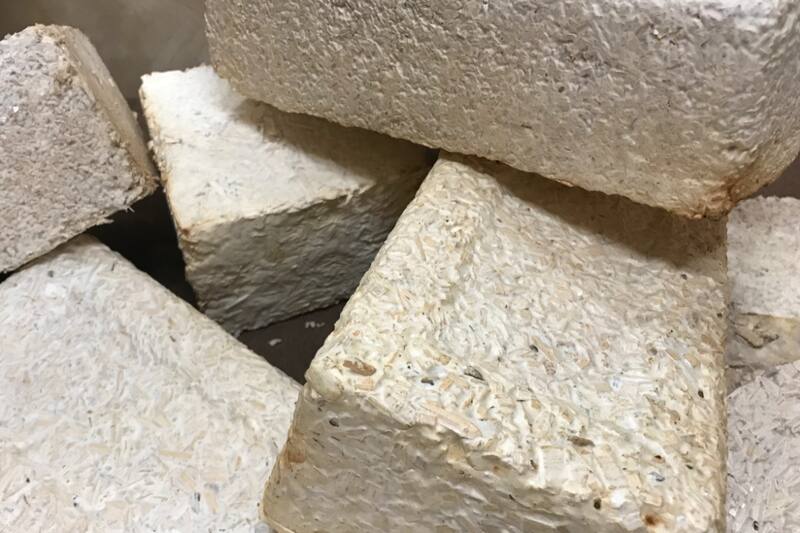 Así luce uno de los primeros prototipos de la NASA de ladrillos construidos en base a hongos, desechos de jardín y astillas de madera como parte del proyecto de micoarquitectura.