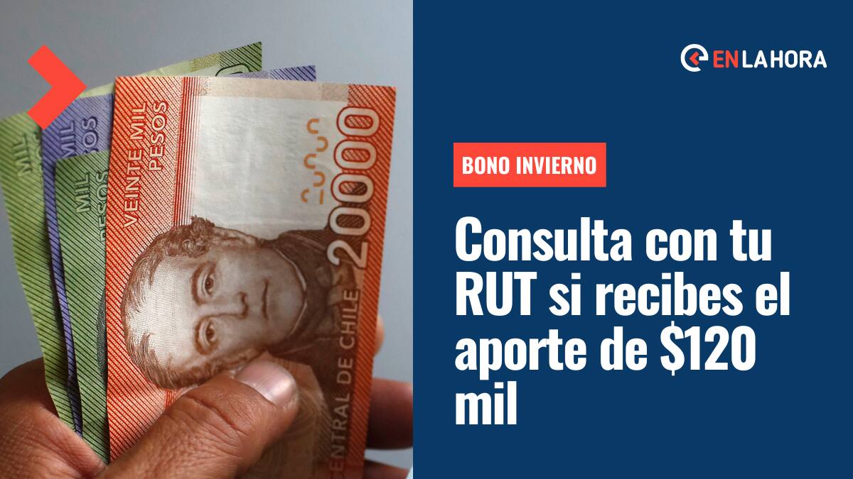 Bono Invierno 2022: Consulta con tu RUT si eres beneficiario del segundo tramo