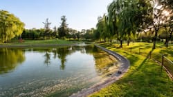 Este tranquilo pulmón verde de Recoleta tiene una gran laguna y zonas de picnic: es el panorama ideal para el otoño