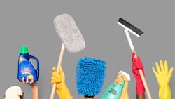 La gigantesca empresa de productos de limpieza china que llega a Chile: tendrá 30 locales