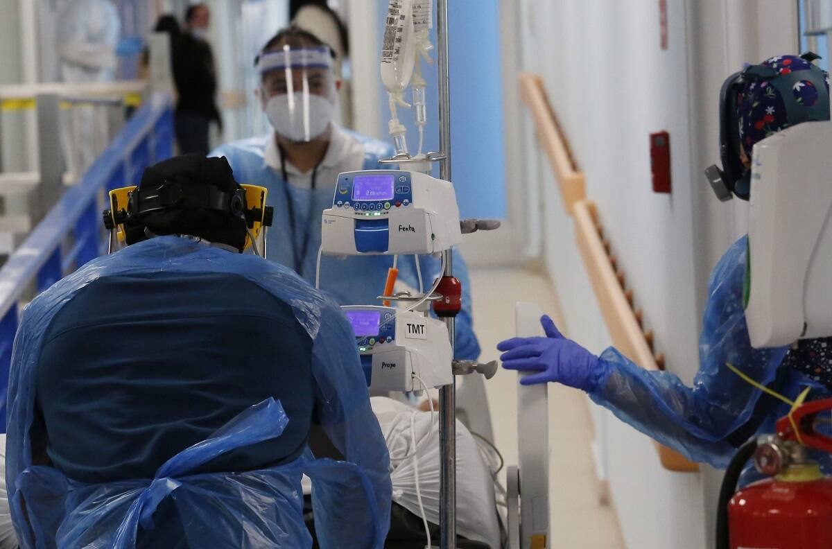 Fallece mujer por virus hanta en La Araucanía: familia acusó negligencia médica
