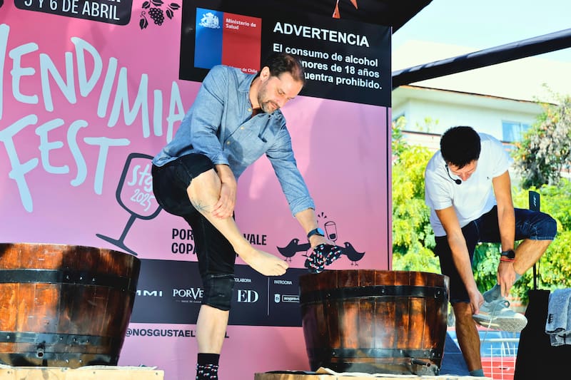 La fiesta que promete ser uno de los mejores eventos vinícolas de la temporada. Créditos: Aton Chile.