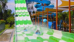 ¿Qué hacer HOY en Santiago?: Los panoramas más entretenidos para este 16 de febrero