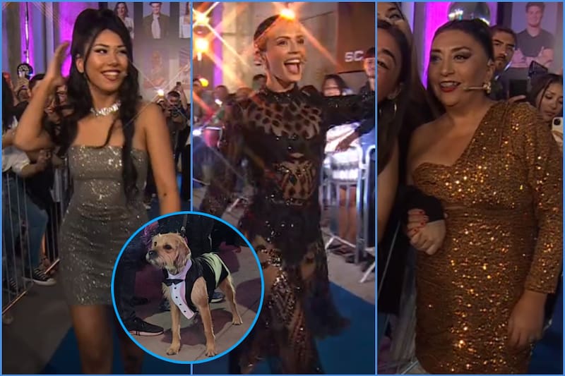 Looks en la final de "Gran Hermano" Chile.