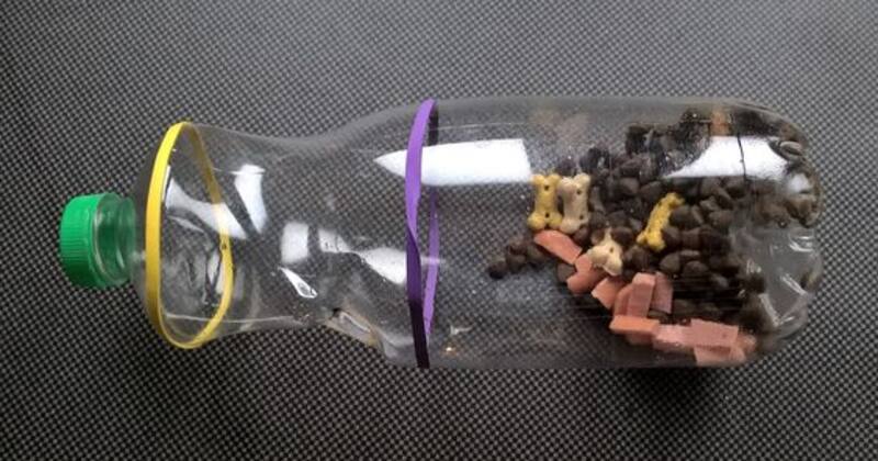 Puedes rellenar la botella con la comida favorita de tu perro para incentivarlo a intentar sacarla.