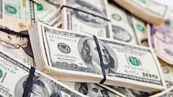 Con más de 47 millones de dólares: un deportista chileno, entre los 100 mejores pagados del mundo