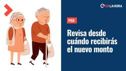 PGU: ¿Cuándo se comenzará a pagar el nuevo monto de este aporte?